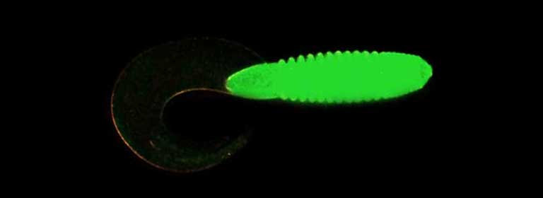 Gifted Grub 2" Glow (24 Pack)