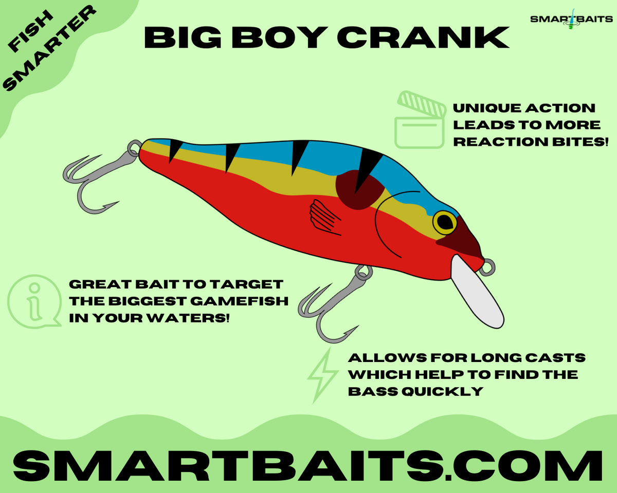 How to Pick the BEST Crankbait & Spring Fishing Tips – Smartbaits Inc.