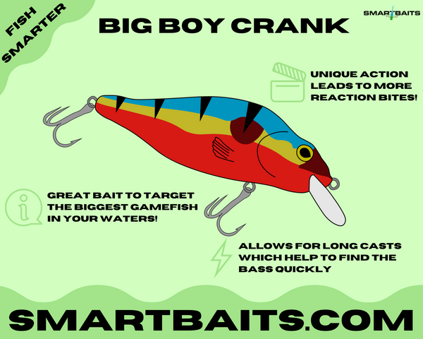 How to Pick the BEST Crankbait & Spring Fishing Tips