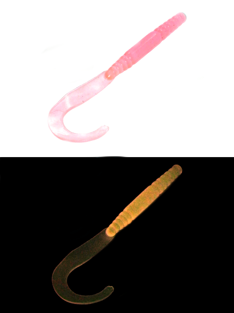 Robbie Ribbon Worm 5